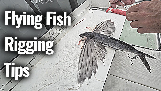 Flying Fish Trolling Rigging Setup - How to Rig the Nomad Slipstream Flying  Fish for Trolling 