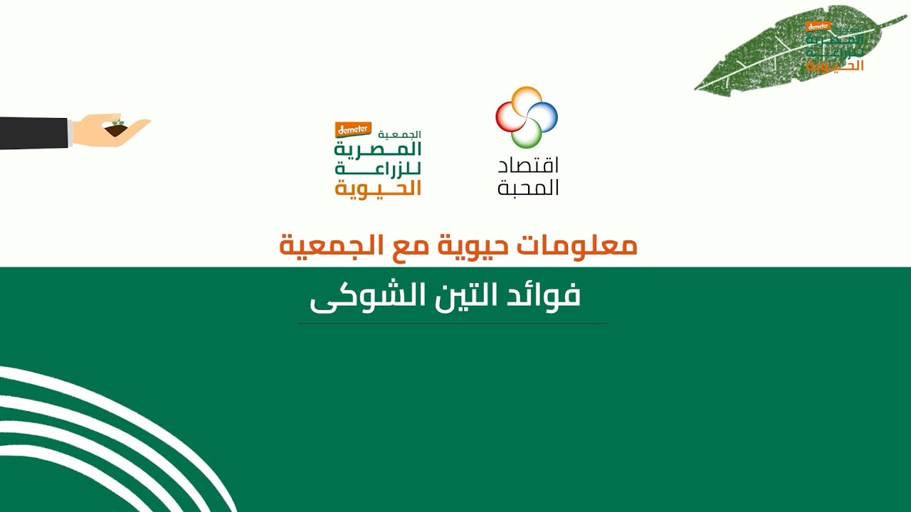 فوائد التين الشوكى