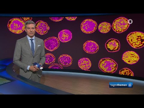 tagesthemen 22:15 Uhr, 07.05.2026

tagesthemen 22:15 Uhr

Nach Hantavirus-Ausbruch auf Kreuzfahrtschiff warnen Experten vor Panik, Schlechte Noten f&uuml;r Schwarz-Rot nach erstem Regierungsjahr, AfD erreicht Rekordwert in Sachsen-Anhalt, Politik und Baubranche suchen nach L&ouml;sungen nach anhaltender Krise im Wohnungsbau, Brandenburg: Probleme mit dem sozialen Wohnungsbau, Das Wetter 

https://www.tagesschau.

#tagesthemen #2215 #Uhr #07052026