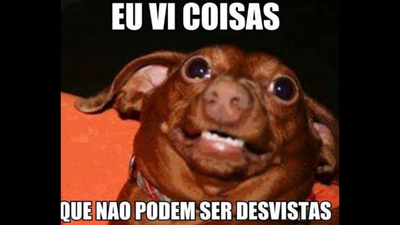 os memes de cachorros mais loucos de todos ilovedogs youtube maxresdefault os memes de cachorros mais loucos de todos ilovedogs youtube,Memes De Cachorro