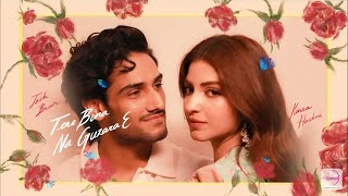 Pehla Tere Nain Dekhe Fer Dekhya Tenu Ni | Tere Bina Na Guzara Ae| 4k Video Hd