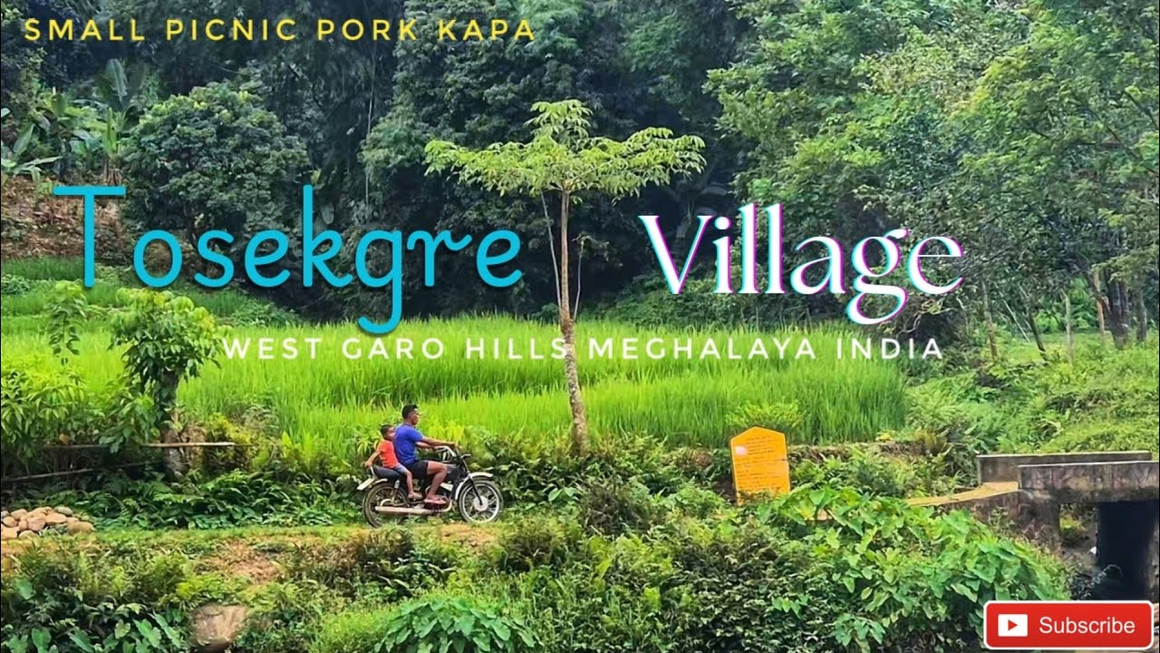Small picnic Pork Kapa 🐖 🐷 😋 || Tosekgre picnic spot  West Garo Hills Meghalaya 🇮🇳 @Nana96Vlogs