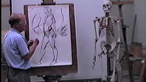 Deane G. Keller: Anatomy of the Pelvis