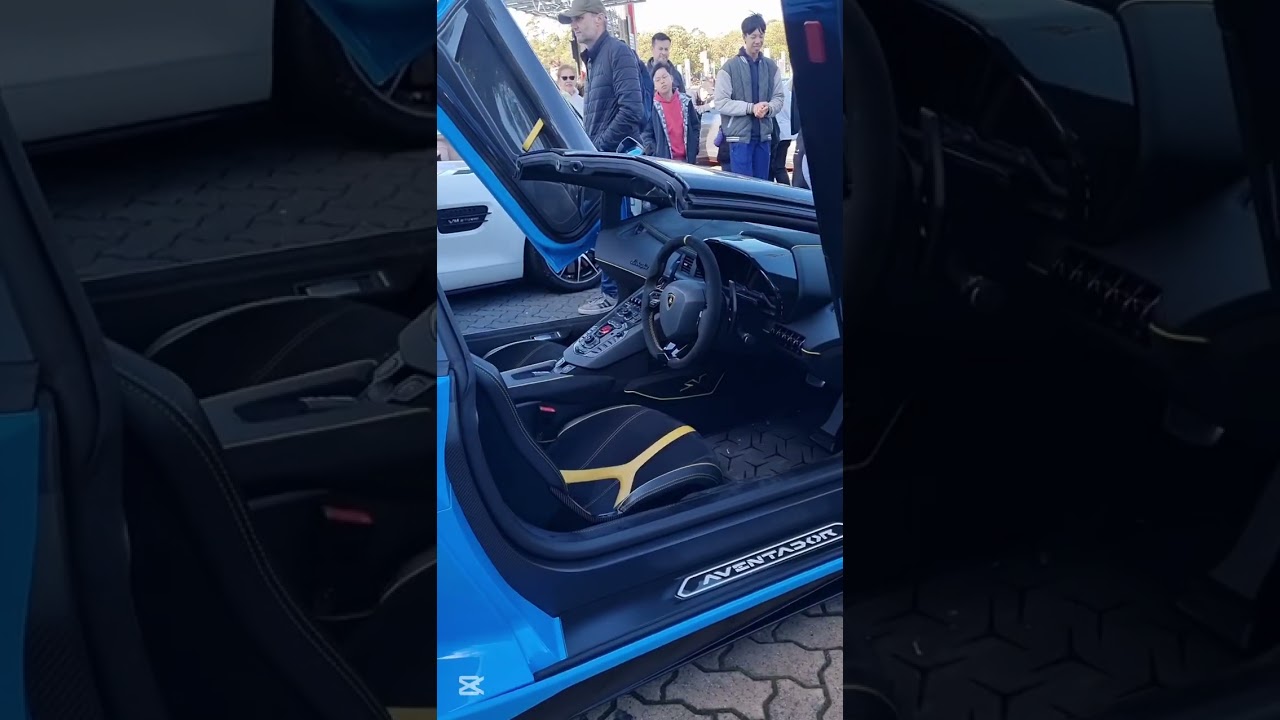 LOVELY SV#aventador #sv #lamborghini