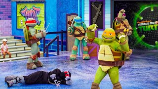 Teenage Mutant Ninja Turtles Live at Sea World Gold Coast - Full Show
