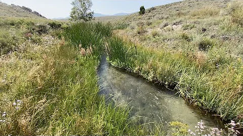 Lidy Hot Springs Revisited