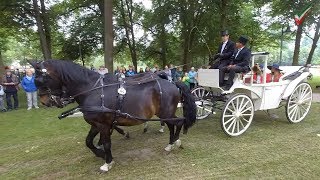 Carriage pilgrimage Telgte 2019 - carriage parade on the Planwiese - horse-drawn carriages