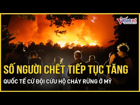 Cháy rừng ở