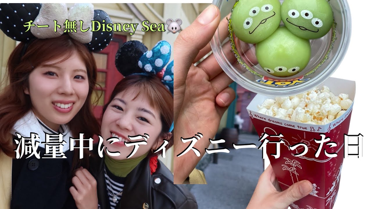 チートなしでディズニーシー1日過ごしてみた