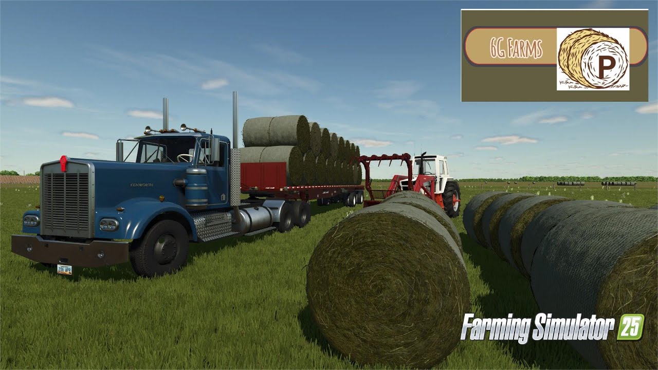 Перевезли почти 600 тюков. Купаемся в деньгах.