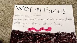 Interesting Worm Facts