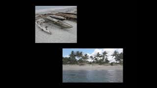 Buria String Band (Vol.4) Nese amo