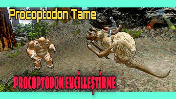 PROCOPTODON EVCİLLEŞTİRME | Ark Survival Evolved Mobile Türkçe | Procoptodon Tame