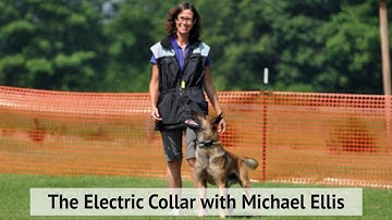 The Electric Collar with Michael Ellis I DVD Trailer