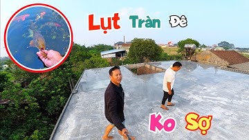 Lần Đầu Cho Cá Mới Thả Ăn Và Thăm Nhà A Long Đang Xây Cao Bất Ngờ / Quế Nghịch