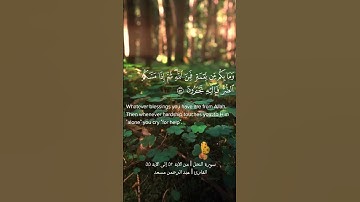 من الآية ٥٢ إلى الآية ٥٥ من سورة النحل بصوت القارئ عبد الرحمن مسعد