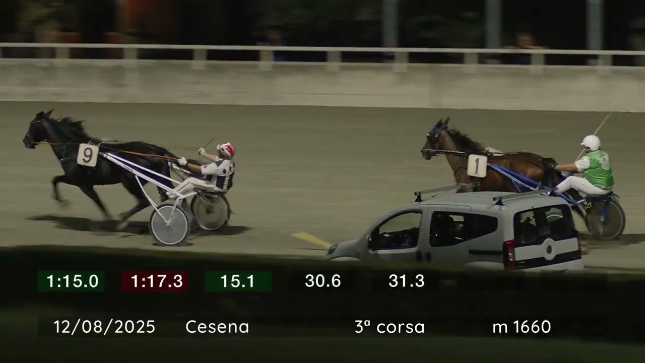 2025 08 12 | Corsa 3 | Metri 1660 | Premio Renato De Giovanni