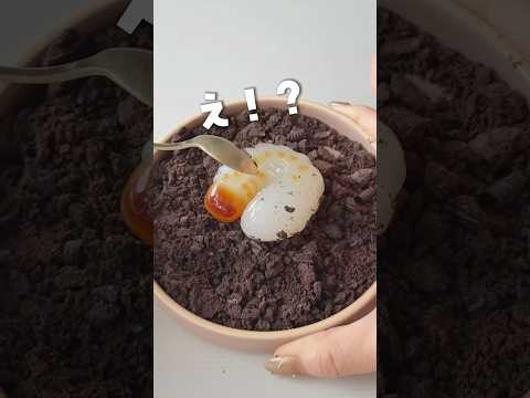 まるで本物 ハロウィンのドッキリに最高なカブトムシゼリー カブトムシゼリー 名糖産業 ドッキリ 子育てママ 育児ハック ハロウィンスイーツ ハロウィン 子供とハロウィン ママの知恵 