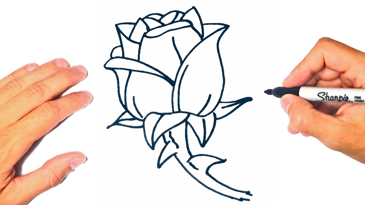 Una rosa para dibujar