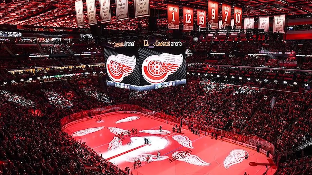 NHL Detroit Red Wings 6x19 3D Stadium Banner