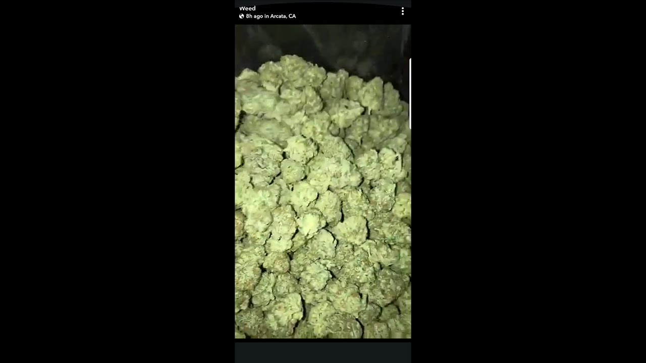 Weed Compilation June 2018