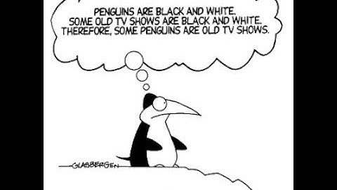 Quiz # 1 Video--Statistics and Explanations