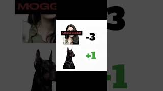 Lindsay Clancy VS Dog 🐕