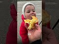 Пикник в горах который как якорь на всю жизнь запомнится хорошим воспоминанием и ощущениям счастья