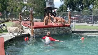 Murphys first jump