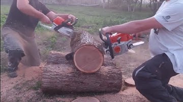 Stihl 261C-M muffler mode vs Stihl 261C-M stock