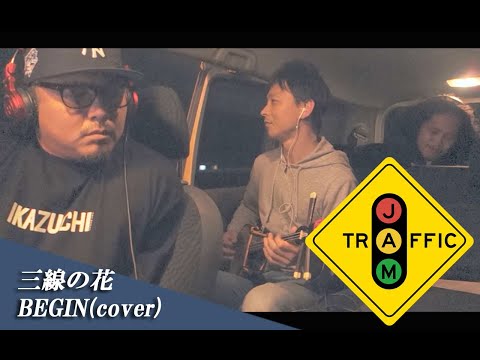 三線の花 - BEGIN (COVER)