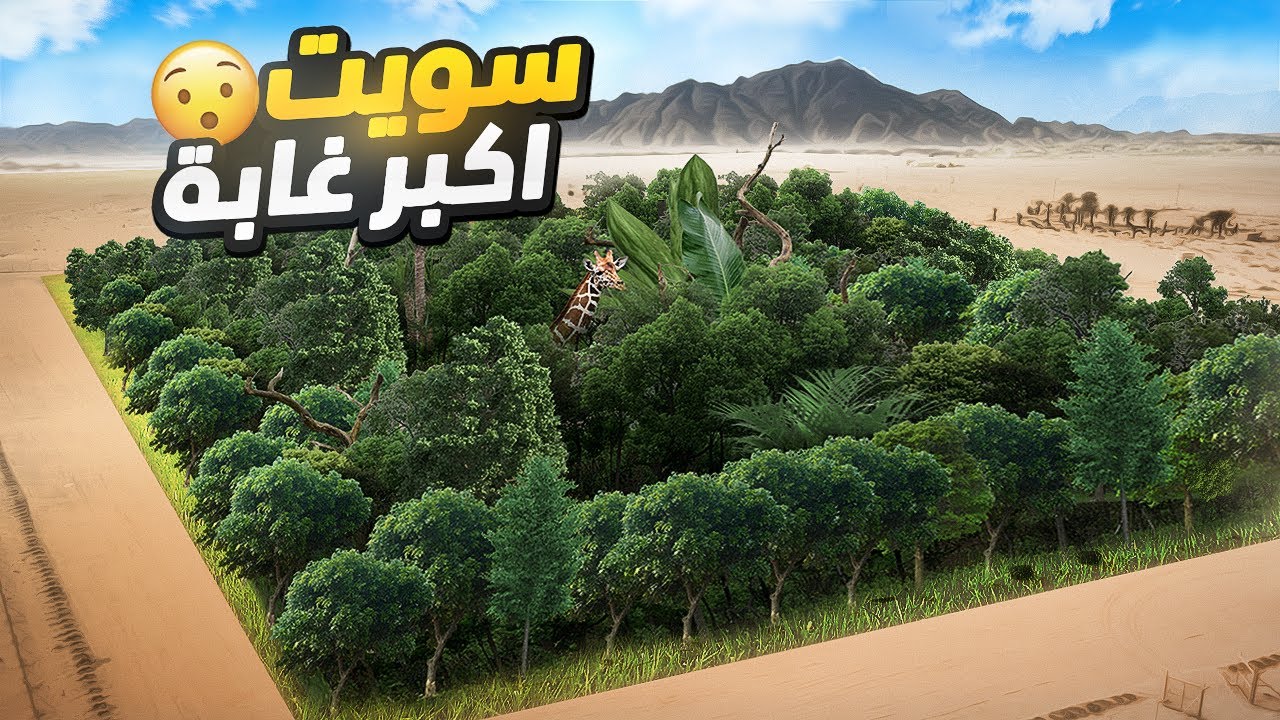 سويت اكبر و اضخم غابة | ماراح تصدق التكلفة !! 😱🌲
