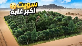 سويت اكبر و اضخم غابة | ماراح تصدق التكلفة !!