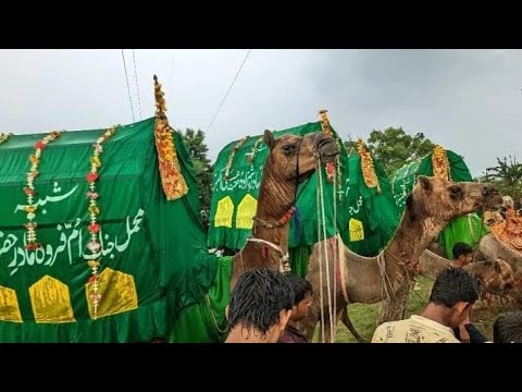 Live  MAKKE SE SAFAR 8 Zil Hij Safar e Karbala  Imam Hussain as   sirsi 2023  safarekarbala