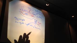 Bio 203- Thursday- 11/14/2013