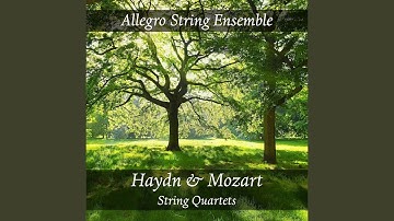 String Quartet No. 1 in B-Flat Major, Hob.III:1, Op. 1 No. 1 "La Chasse": I. Presto