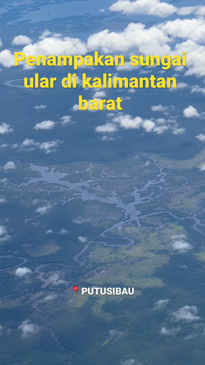 Sungai ular di kalimantan barat