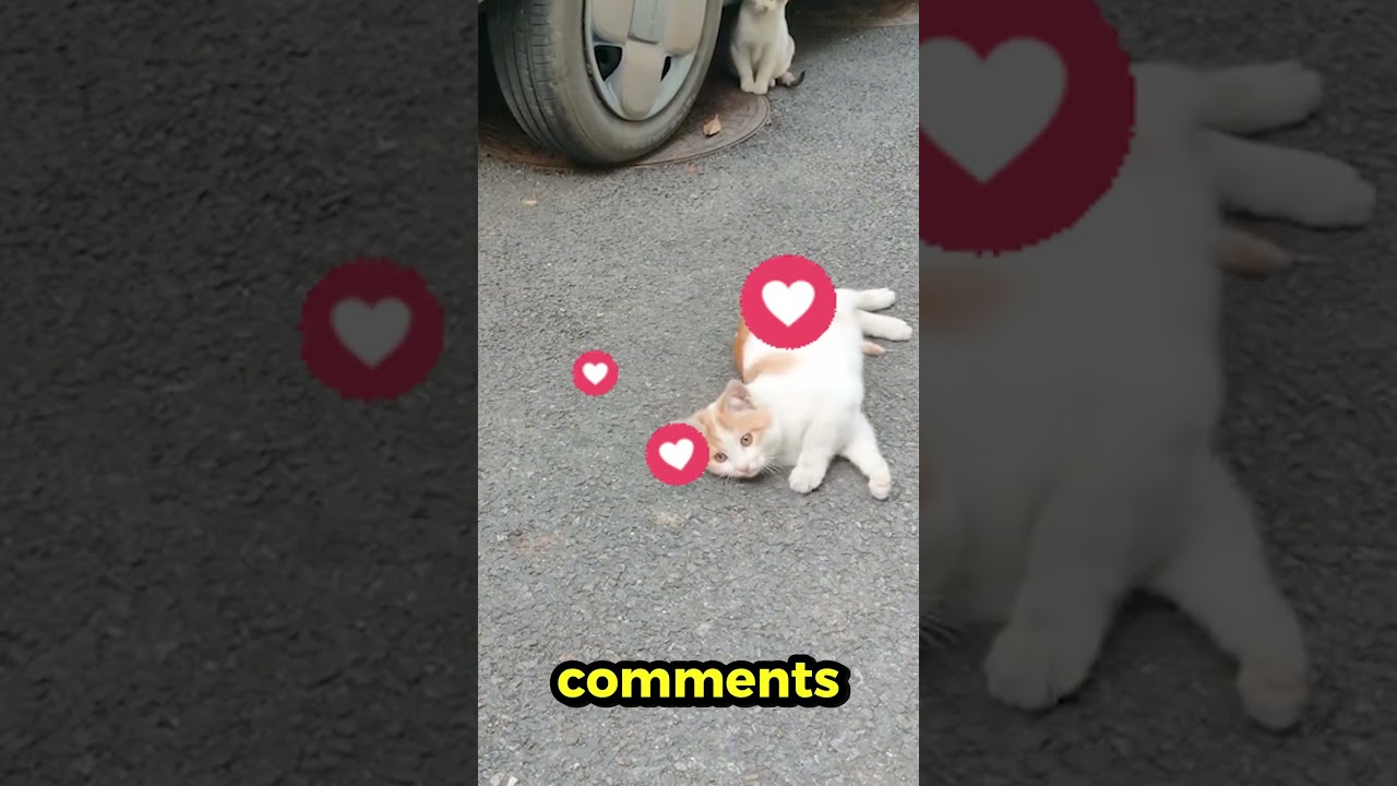 This High Pressure Water Jet Cleaner Is a Game Changer! 💦🔧