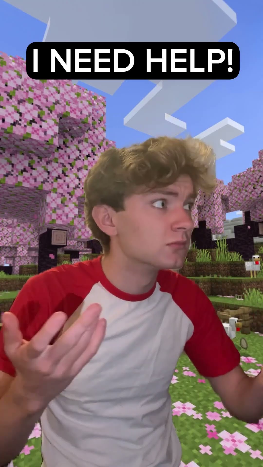 #ad I’m in Minecraft??? #Minecraft15
