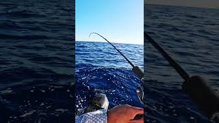 Zenaq fokeeto ikari fb63-3 200gr 150m #slowpitch #jigging #mancing #shimano #ψαρεμα #jig #spj #daiwa