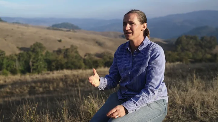 Halter's virtual fencing saved $210K: How one California rancher built 7 miles of fence