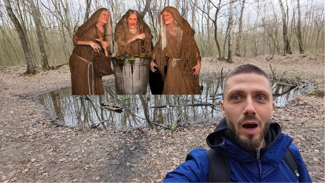 AM FOST LA BALTA VRAJITOARELOR - Padurea Boldu Cretuleasca