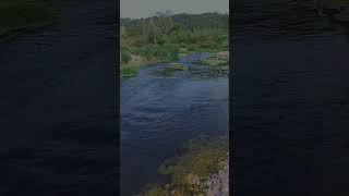 Short video dos aguas mataraña NONASPE #river #pakistan #swat #nature #travel