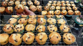 Amazing Madeleines: You'll Always Use This Recipe, Huge Batch, Light, Fluffy, and Stays Soft for ... screenshot 1