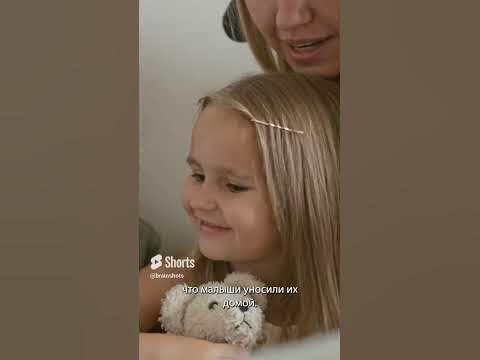 Милые мишки - YouTube