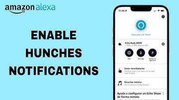 How To Enable Hunches Notifications On Amazon Alexa App
