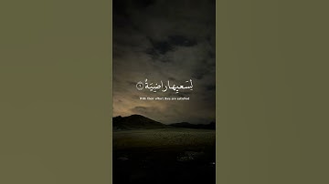 [ وجوه يومئذ ناعمة ] - القارئ عبدالرحمن مسعد سورة الغاشية