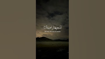 [ وجوه يومئذ ناعمة ] - القارئ عبدالرحمن مسعد سورة الغاشية
