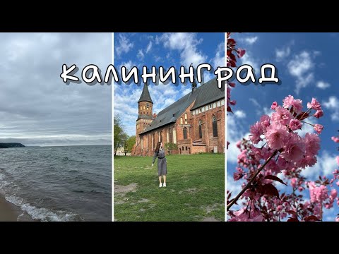 vlog: 4 дня в Калининграде | Светлогорск, Зеленоградск, Куршская коса