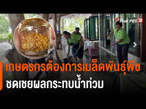 วีดีโอ: น้ำท่วมอันดับเมล็ดพันธุ์คืออะไร?